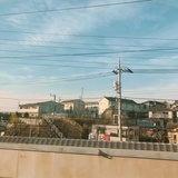ruricecilia