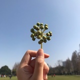 今天是三月
