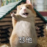 鱼鱼小飞侠