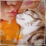 TOMO