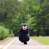 大白