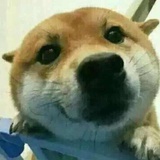于鑫