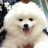 阿魁～🎋🎋