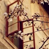 张曼