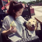 璐璐无微