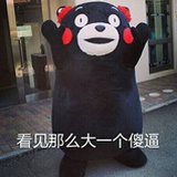 kumamon