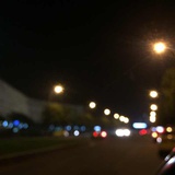 兔子归来