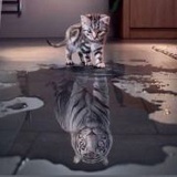 卡比瘦瘦