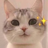 第61个注册的