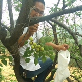 过眼云烟