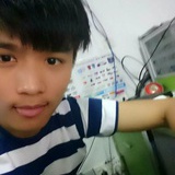 会飞的萌兔子