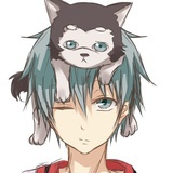 鱼猫