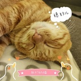 阿鲁酱