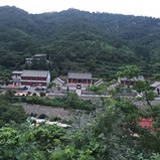 强迫症