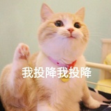 独立行走