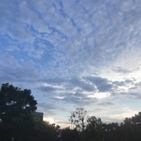 听风吹过的声音