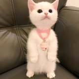 夏天来啦