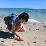 红细胞。