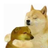 暴躁阿布