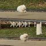 熊崽（喝咖啡版