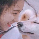 老徐家的花猫