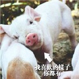 葱葱葱葱葱葱葱
