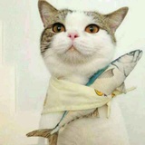  诗屋爱 