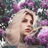 ｡◕‿◕｡