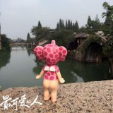 有点小懒的猫