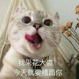 六味