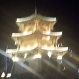 卟离卜弃纯属放
