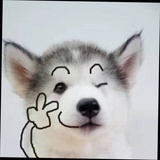 安南吖！