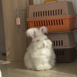 小吴今天也温柔