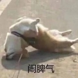 爱说废话