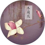 清歌如霜