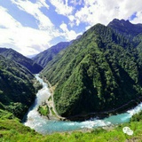 鲁枫