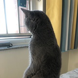 呵呵呵