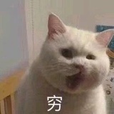 知了