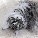 独一无二