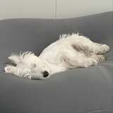 睡个好觉就够了