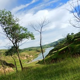 明明