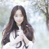梦在深巷Daydrea