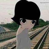 杉
