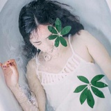 沙漠