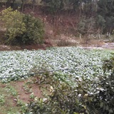 李绍富