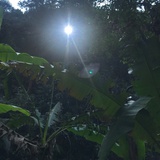 碎碎念