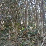 小明