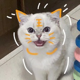 Gniyis