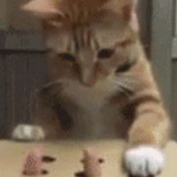 我家我家74060