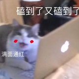 战损一级爱好者